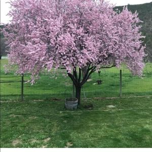 Meet your Posher, Troy